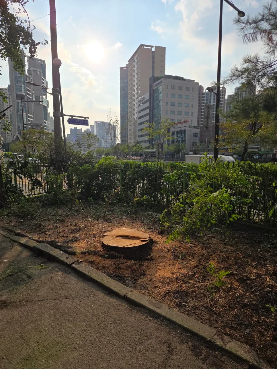 서울 · 복지회관 시공 후