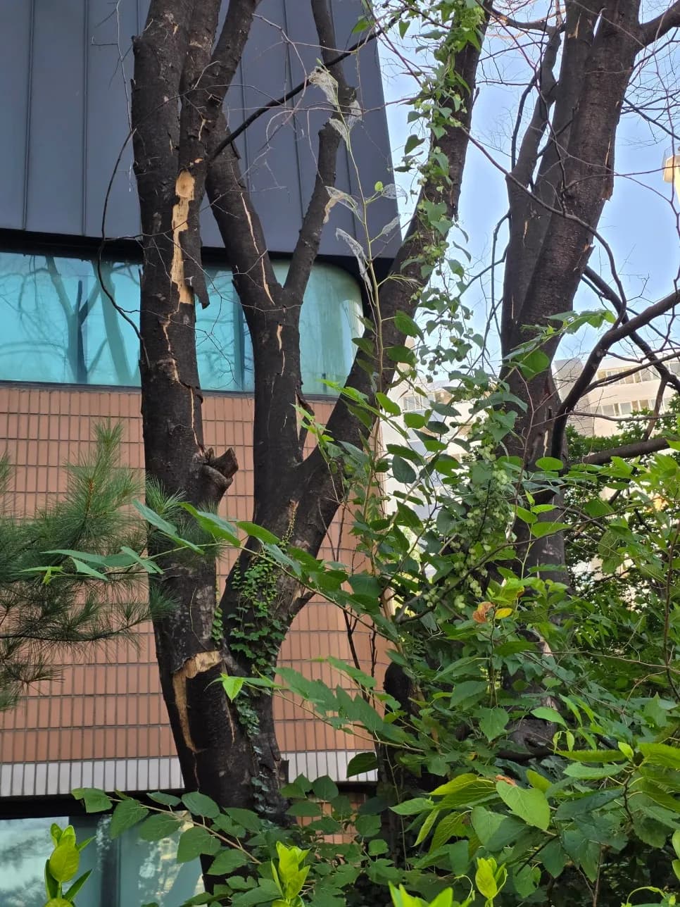 서울 · 복지회관 시공 전